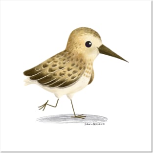 Sandpiper Bird Posters and Art